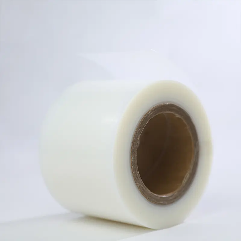 x-APL-Transparent -3
