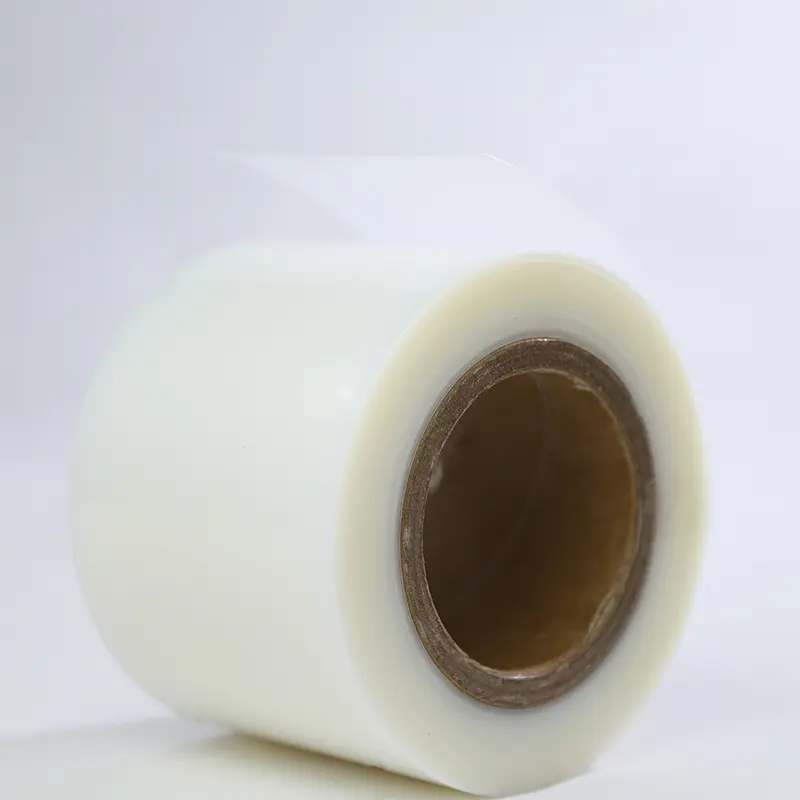 APL-Transparent -2.JPG